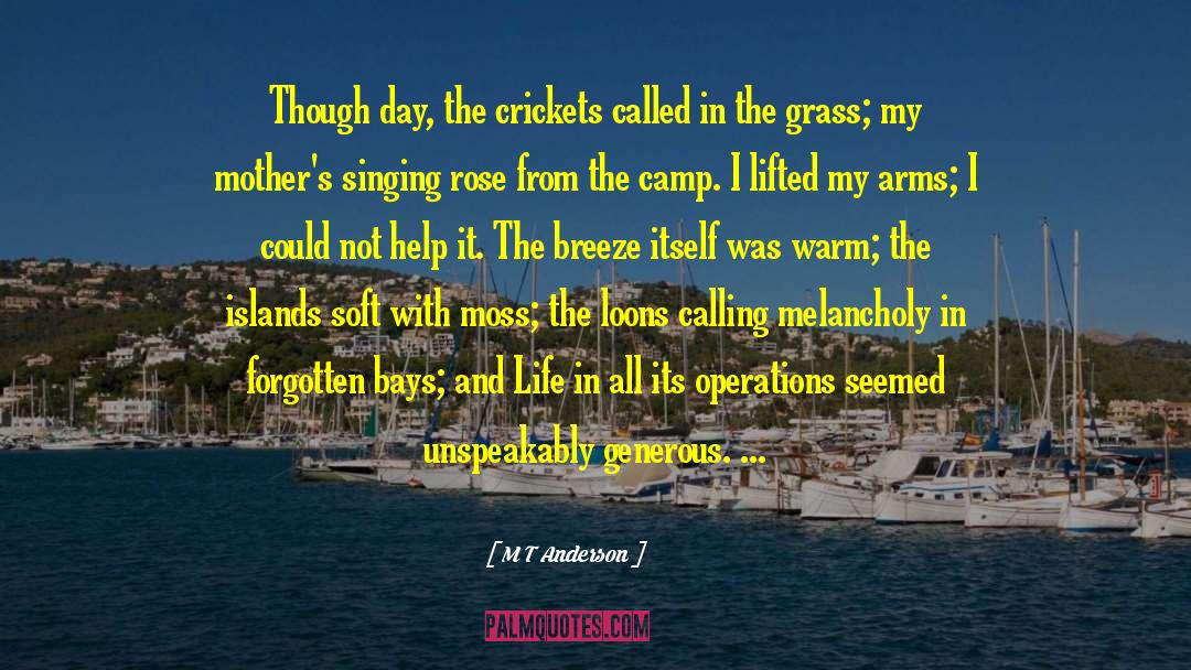 M T Anderson Quotes: Though day, the crickets called