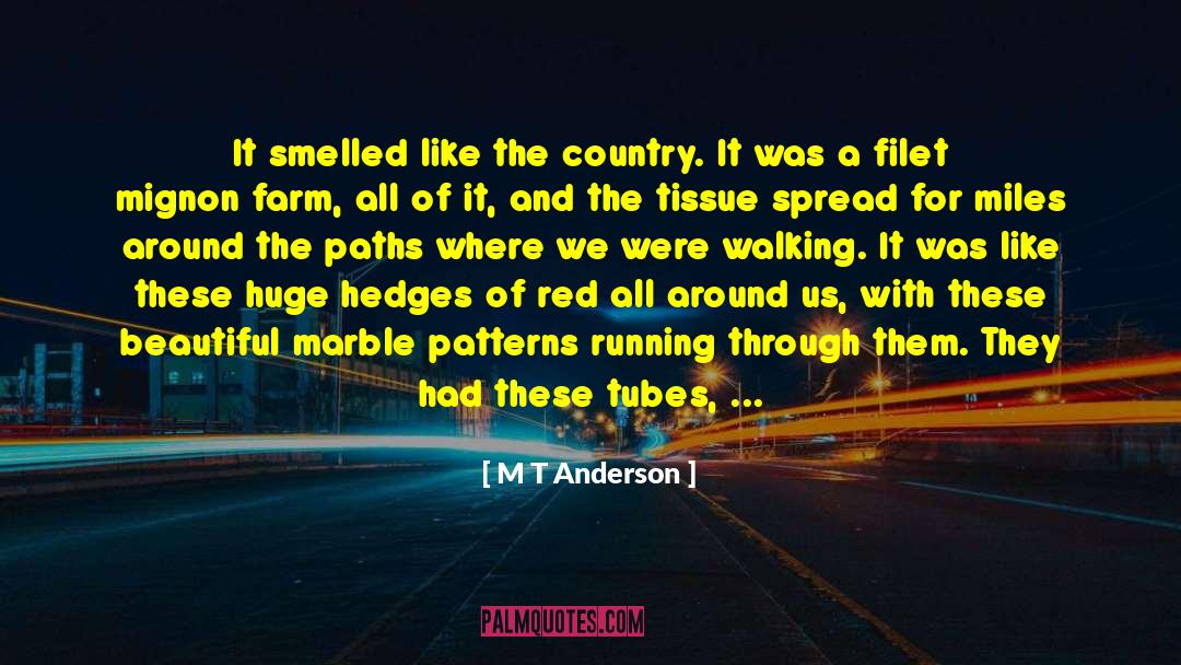 M T Anderson Quotes: It smelled like the country.