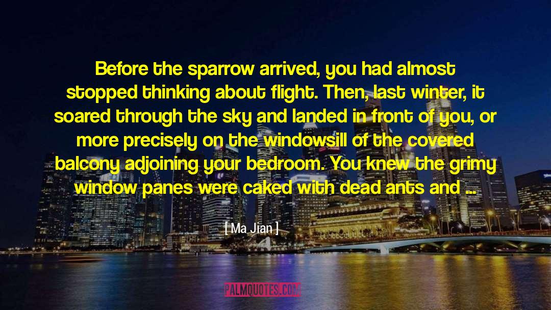 Ma Jian Quotes: Before the sparrow arrived, you