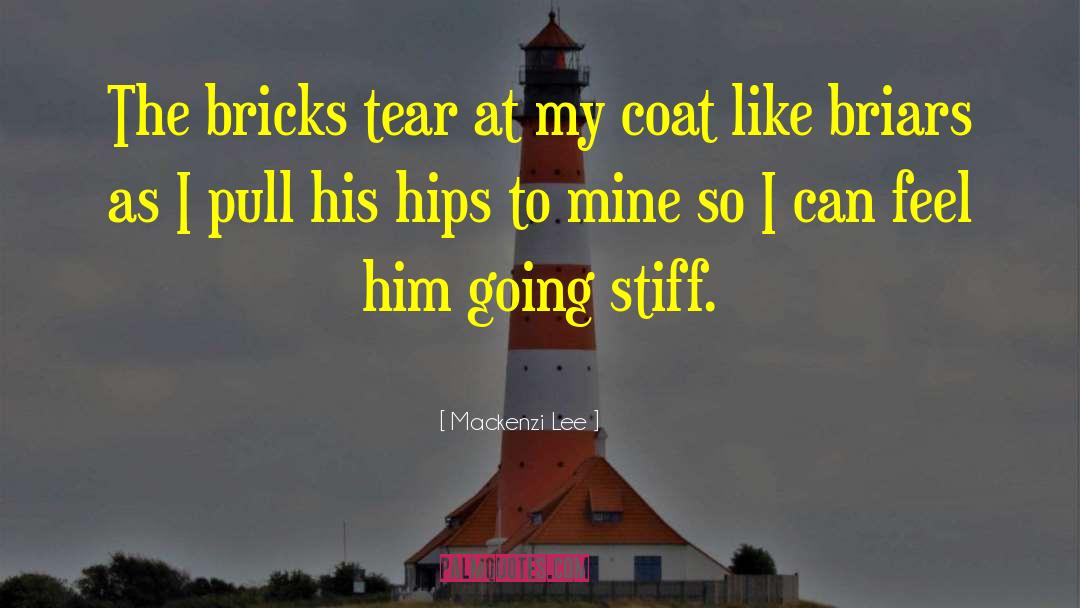 Mackenzi Lee Quotes: The bricks tear at my