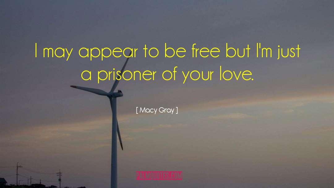 Macy Gray Quotes: I may appear to be