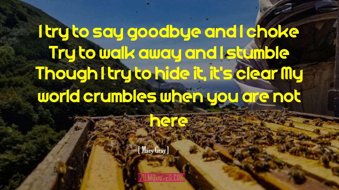 Macy Gray Quotes: I try to say goodbye