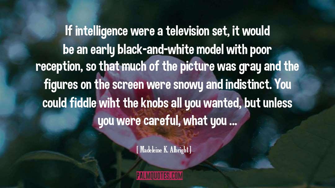 Madeleine K. Albright Quotes: If intelligence were a television