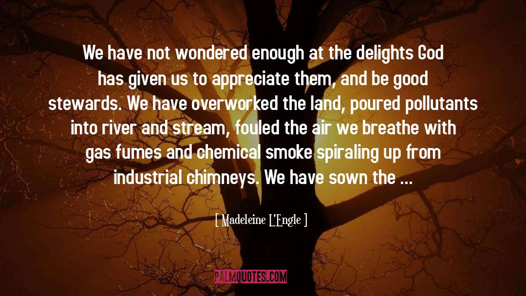 Madeleine L'Engle Quotes: We have not wondered enough