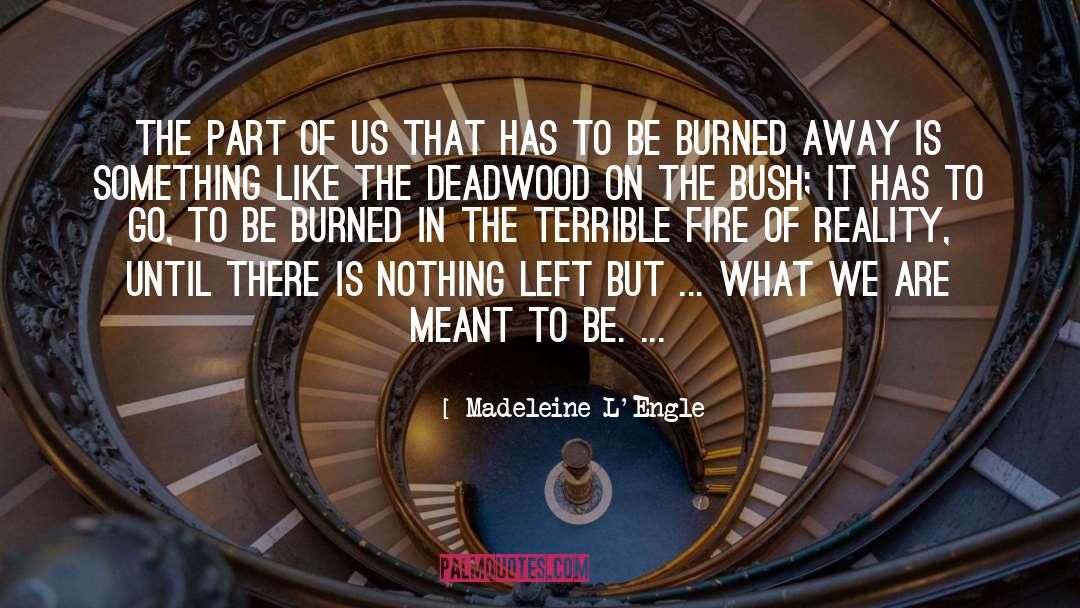 Madeleine L'Engle Quotes: The part of us that