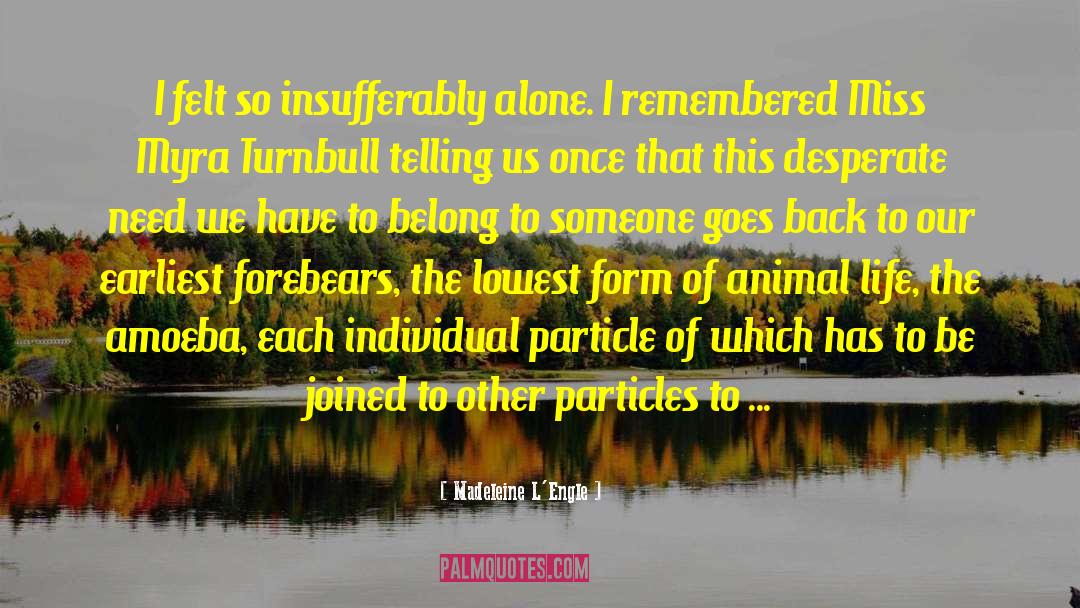 Madeleine L'Engle Quotes: I felt so insufferably alone.