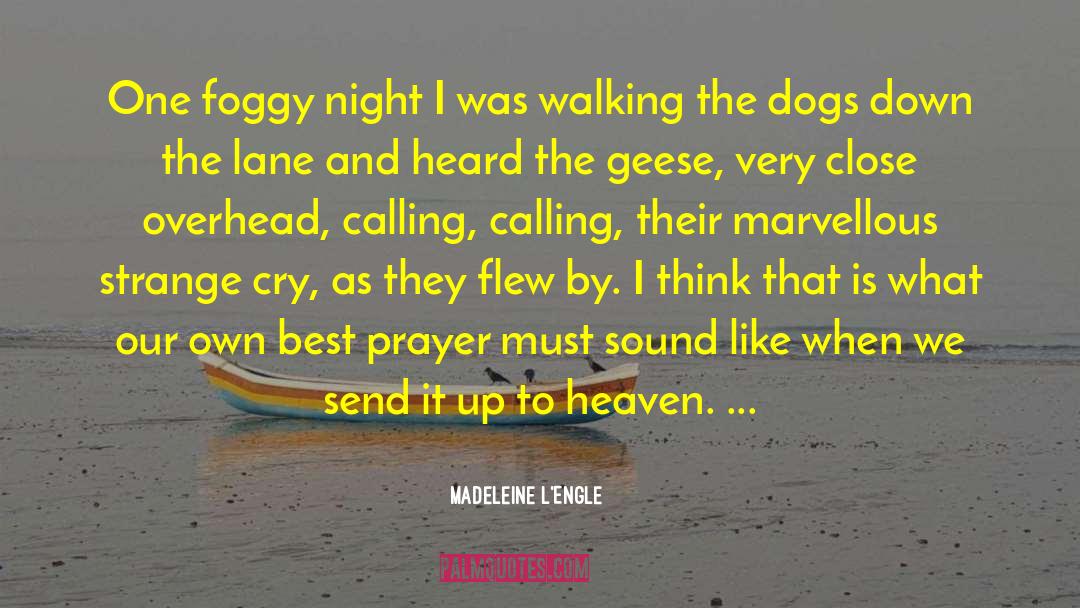 Madeleine L'Engle Quotes: One foggy night I was