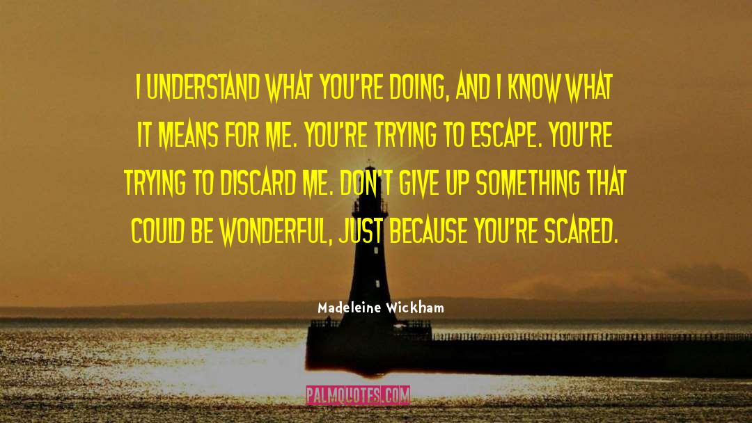Madeleine Wickham Quotes: I understand what you're doing,
