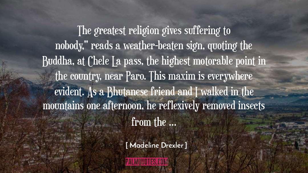 Madeline Drexler Quotes: The greatest religion gives suffering
