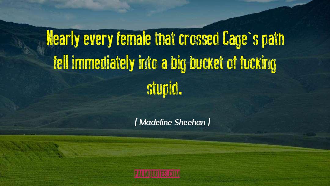 Madeline Sheehan Quotes: Nearly every female that crossed
