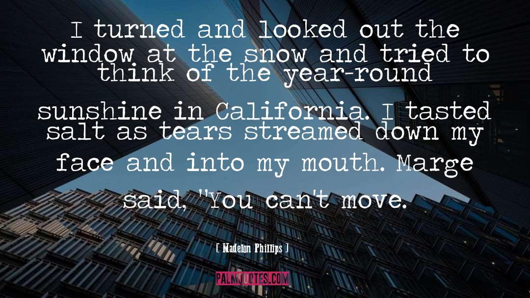 Madelon Phillips Quotes: I turned and looked out