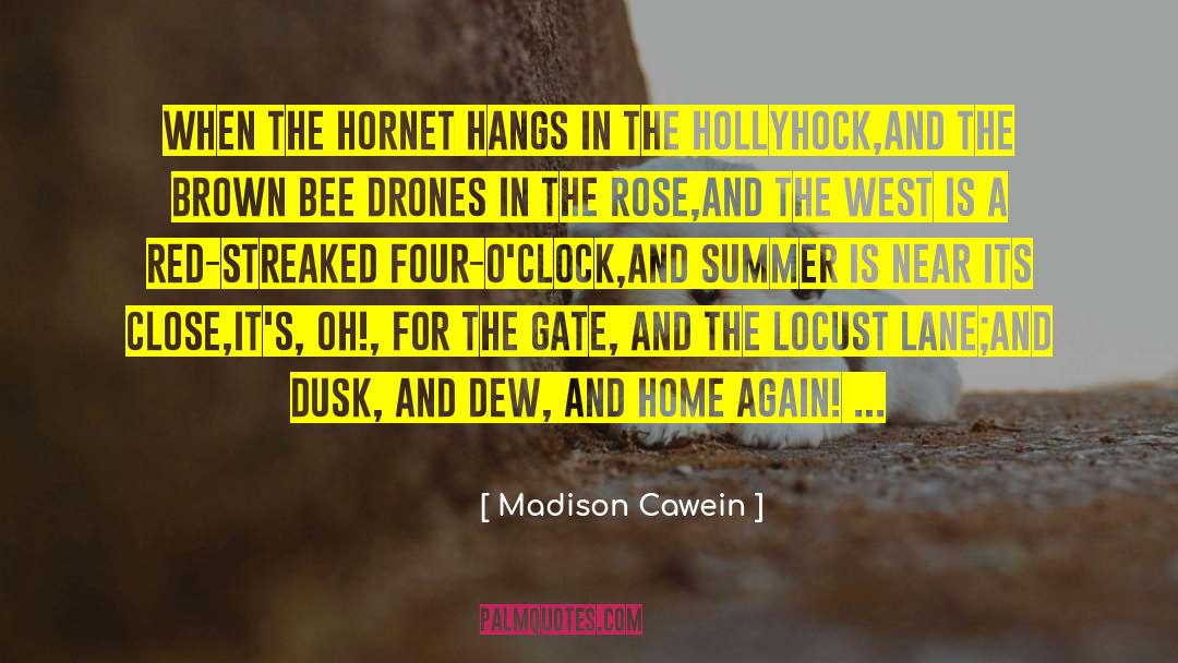 Madison Cawein Quotes: When the hornet hangs in