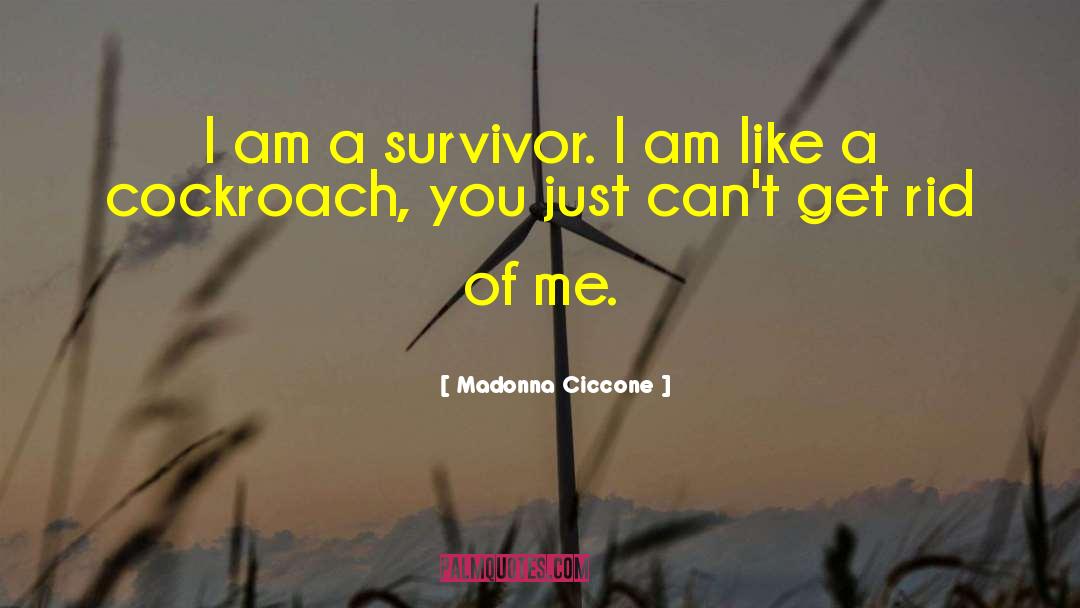 Madonna Ciccone Quotes: I am a survivor. I
