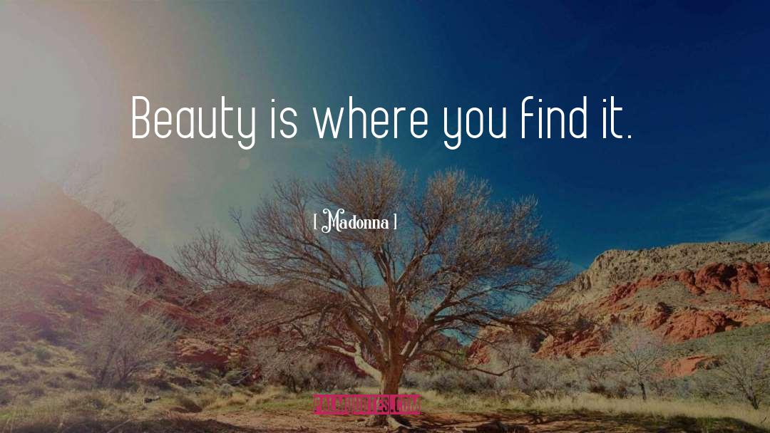 Madonna Quotes: Beauty is where you find