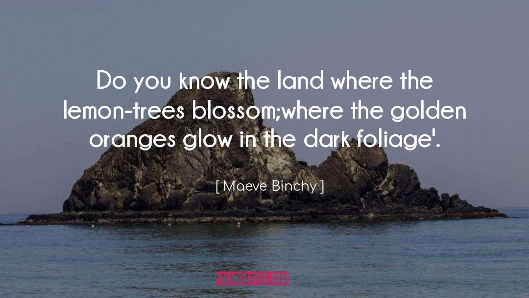 Maeve Binchy Quotes: Do you know the land