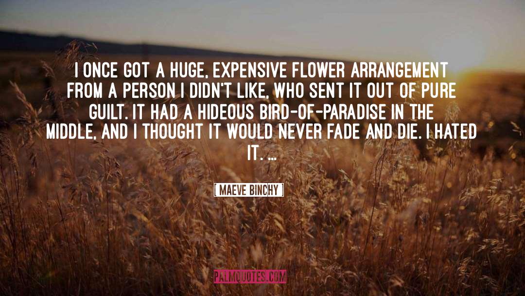 Maeve Binchy Quotes: I once got a huge,
