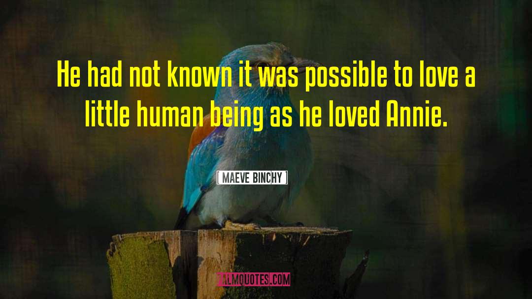 Maeve Binchy Quotes: He had not known it