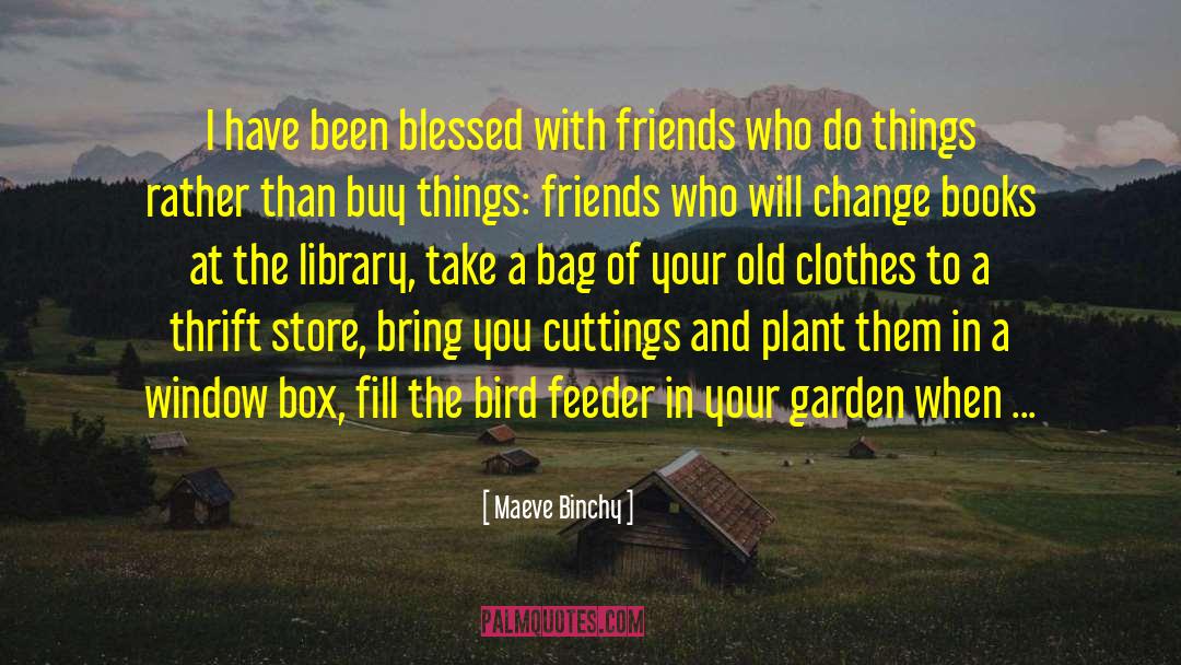 Maeve Binchy Quotes: I have been blessed with