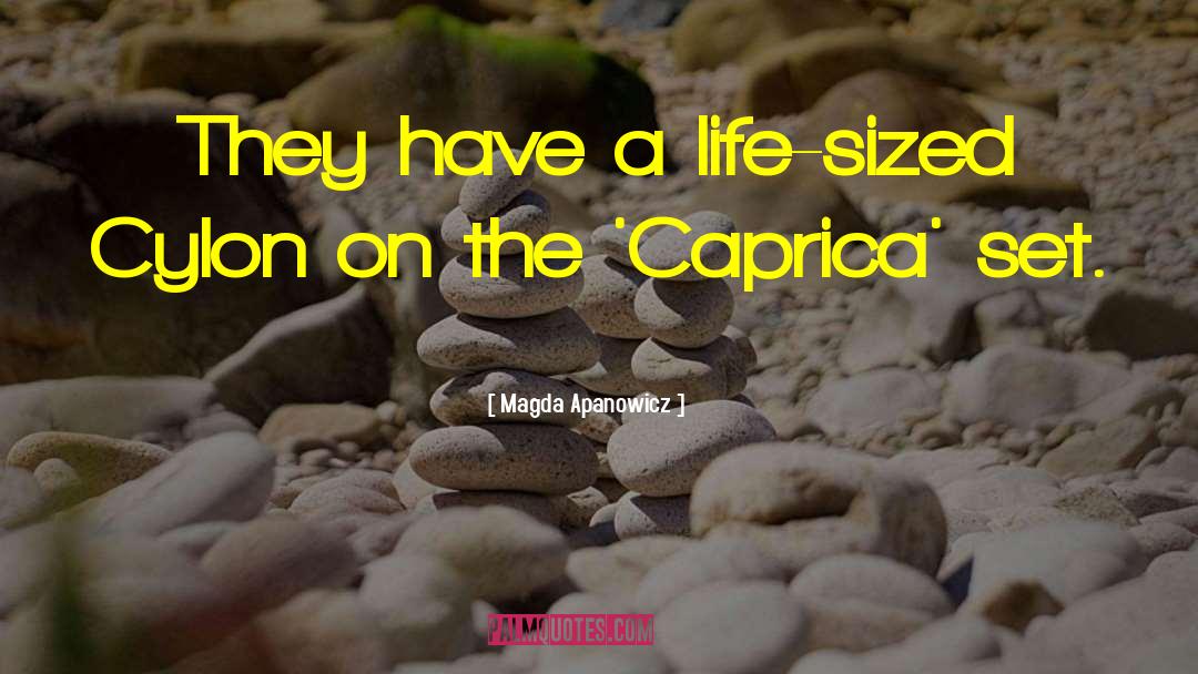 Magda Apanowicz Quotes: They have a life-sized Cylon