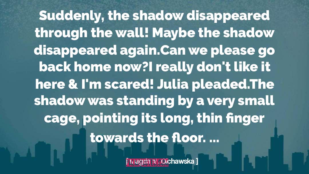 Magda M. Olchawska Quotes: Suddenly, the shadow disappeared through