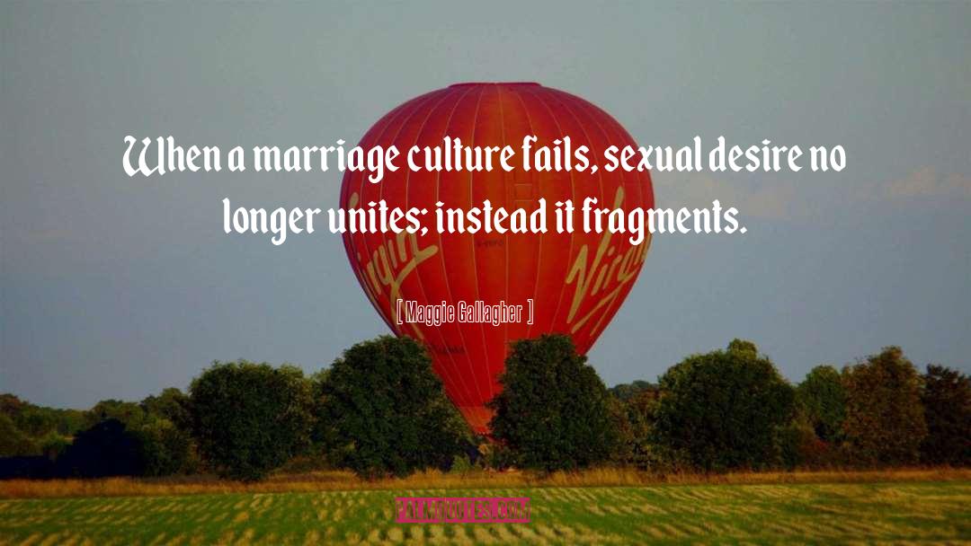 Maggie Gallagher Quotes: When a marriage culture fails,