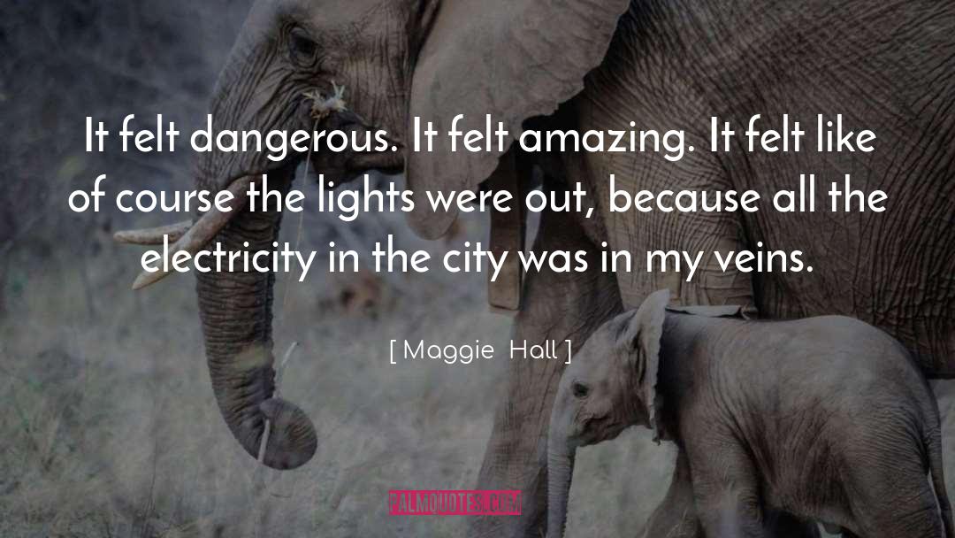 Maggie Hall Quotes: It felt dangerous. It felt