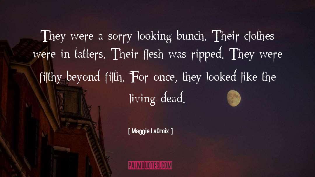 Maggie LaCroix Quotes: They were a sorry-looking bunch.