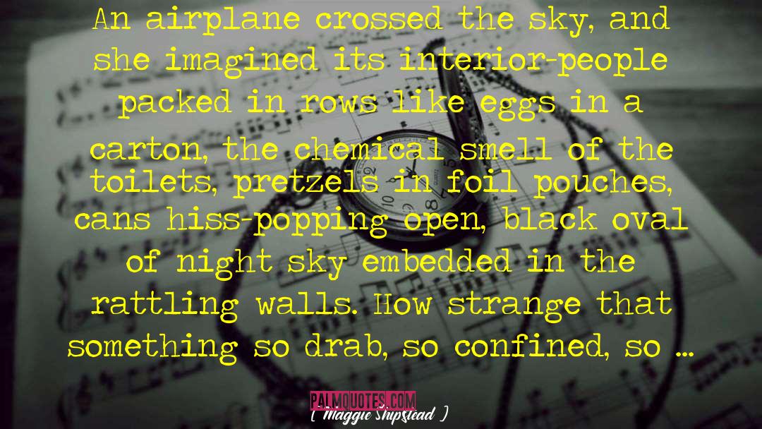 Maggie Shipstead Quotes: An airplane crossed the sky,