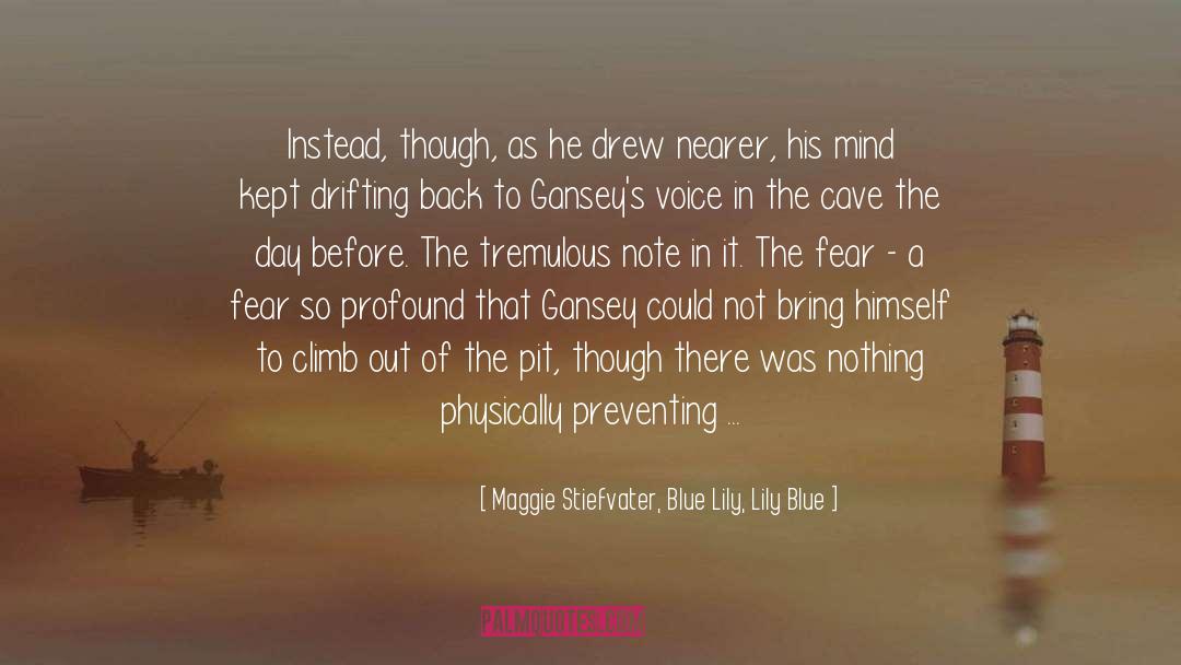 Maggie Stiefvater, Blue Lily, Lily Blue Quotes: Instead, though, as he drew