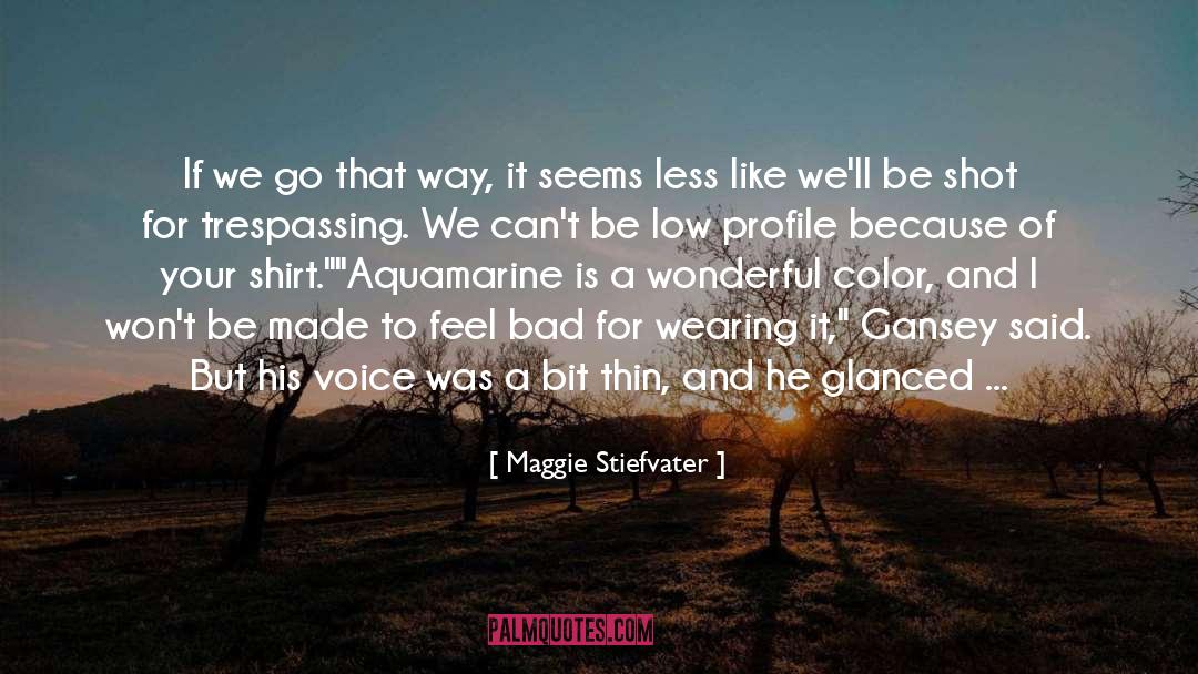 Maggie Stiefvater Quotes: If we go that way,