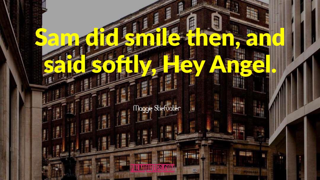 Maggie Stiefvater Quotes: Sam did smile then, and