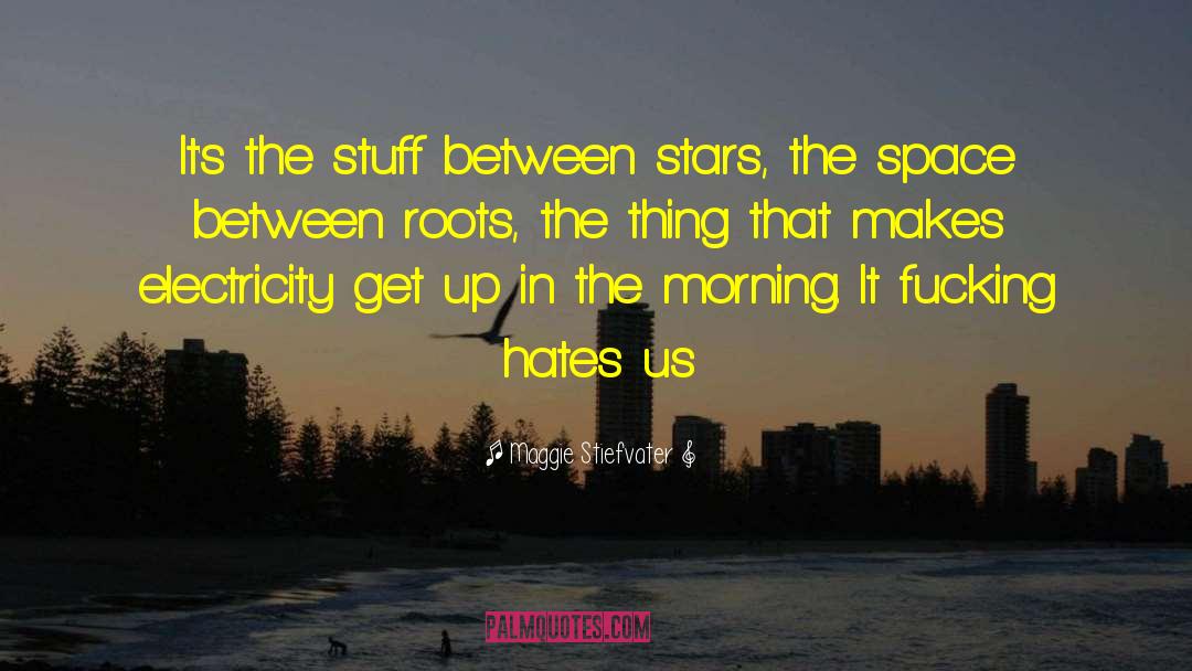 Maggie Stiefvater Quotes: It's the stuff between stars,
