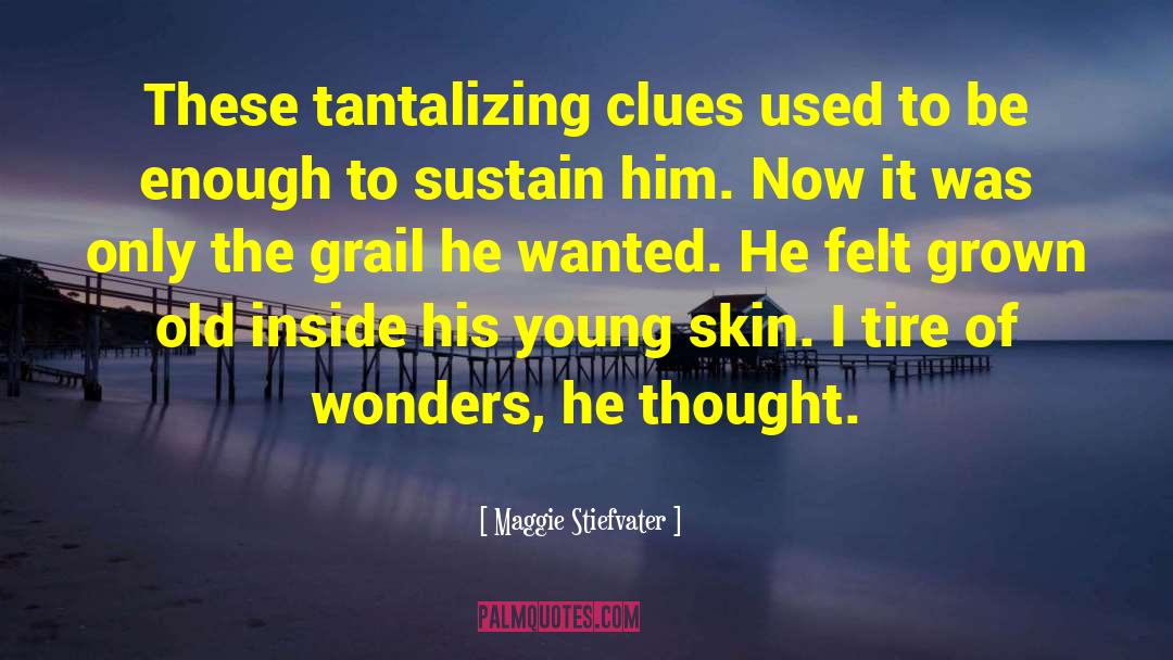 Maggie Stiefvater Quotes: These tantalizing clues used to