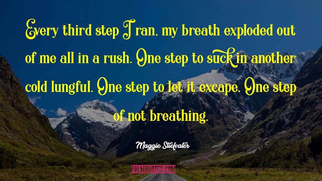 Maggie Stiefvater Quotes: Every third step I ran,