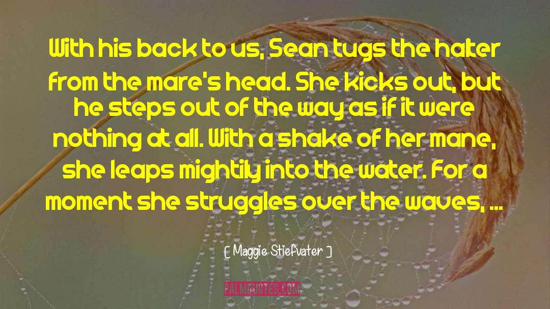 Maggie Stiefvater Quotes: With his back to us,
