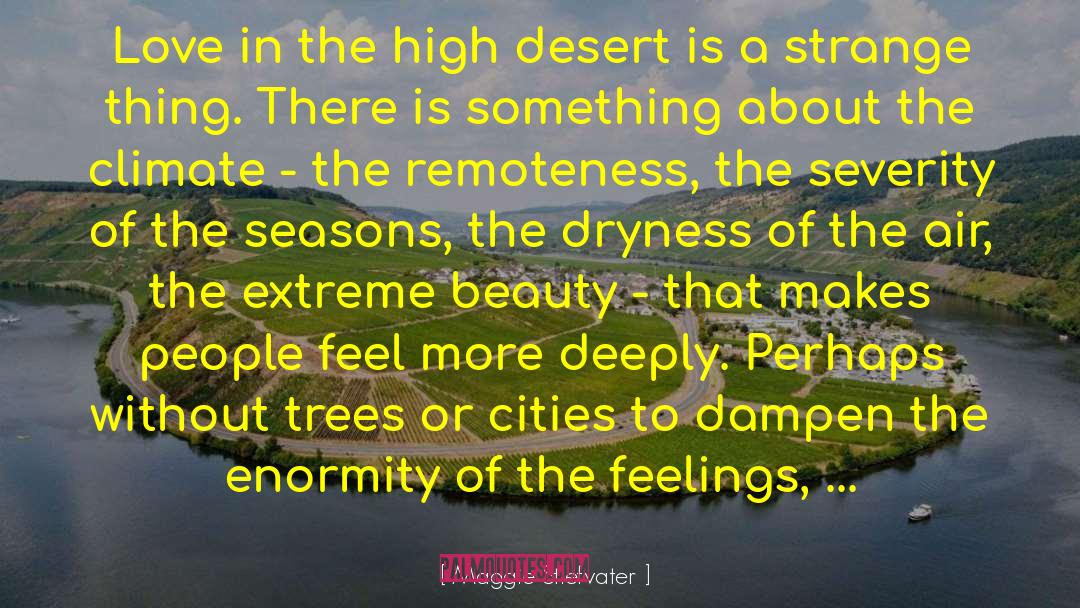 Maggie Stiefvater Quotes: Love in the high desert