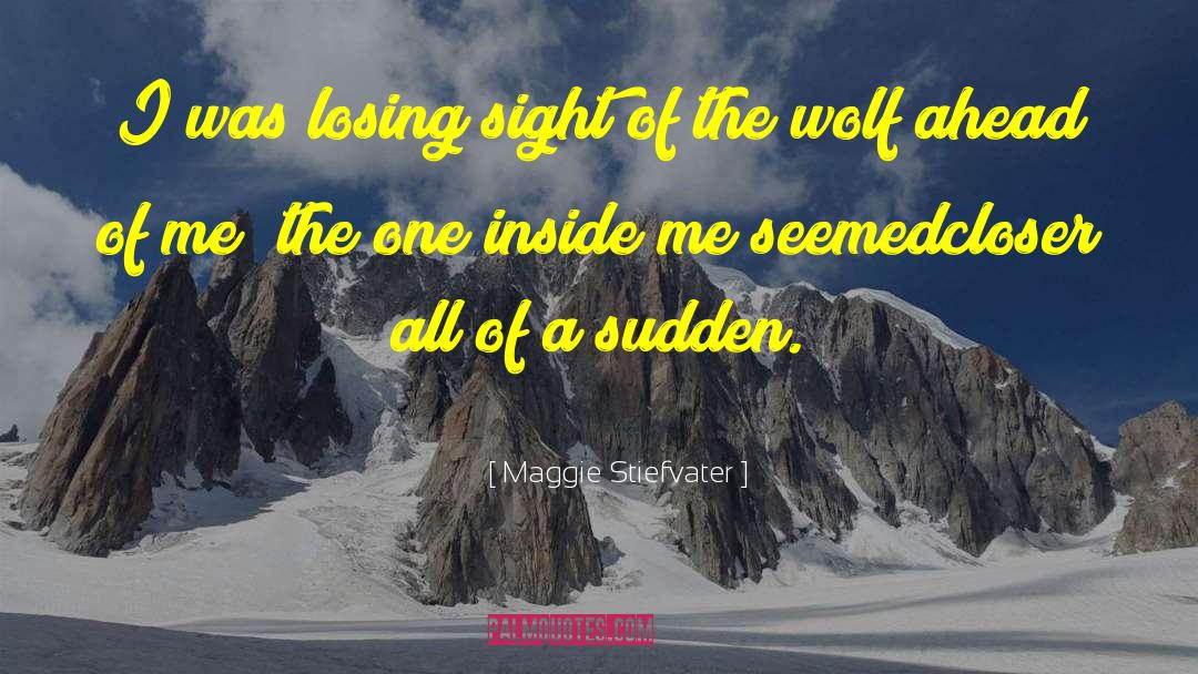 Maggie Stiefvater Quotes: I was losing sight of