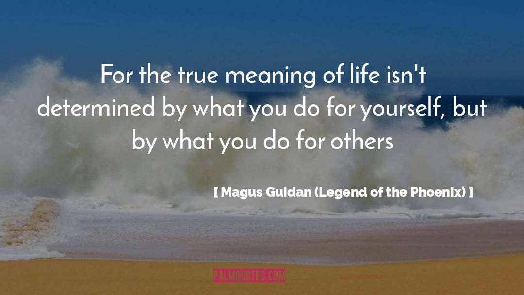 Magus Guidan (Legend Of The Phoenix) Quotes: For the true meaning of
