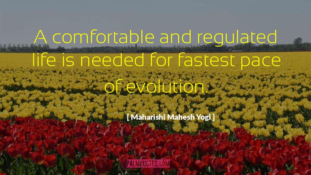 Maharishi Mahesh Yogi Quotes: A comfortable and regulated life