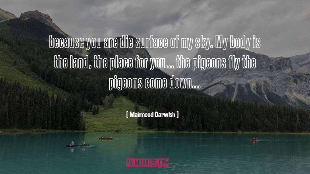 Mahmoud Darwish Quotes: because you are die surface