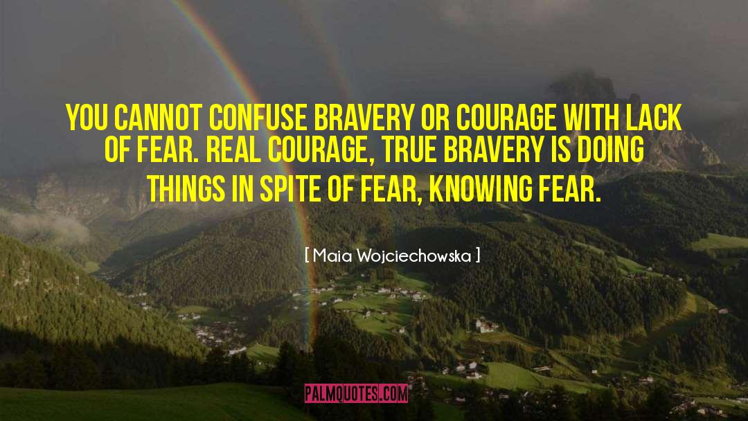 Maia Wojciechowska Quotes: You cannot confuse bravery or