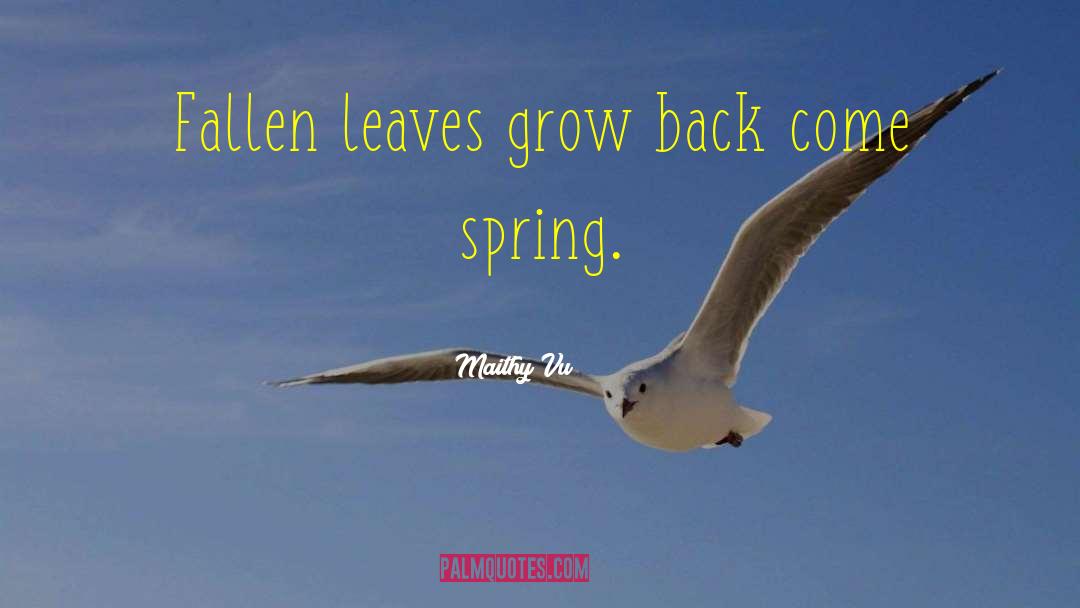 Maithy Vu Quotes: Fallen leaves grow back come