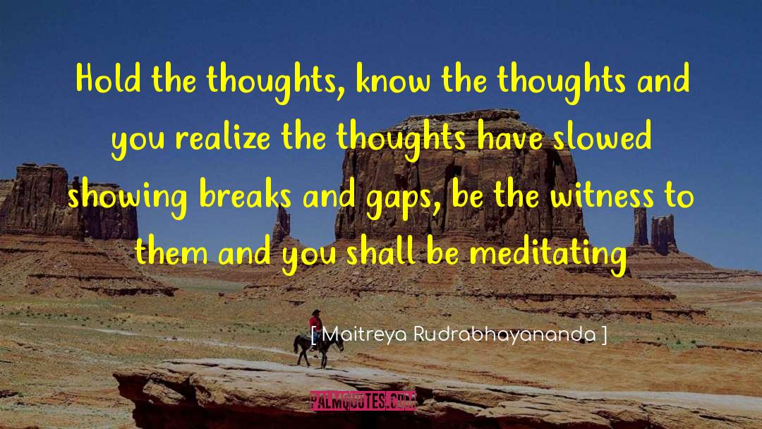 Maitreya Rudrabhayananda Quotes: Hold the thoughts, know the