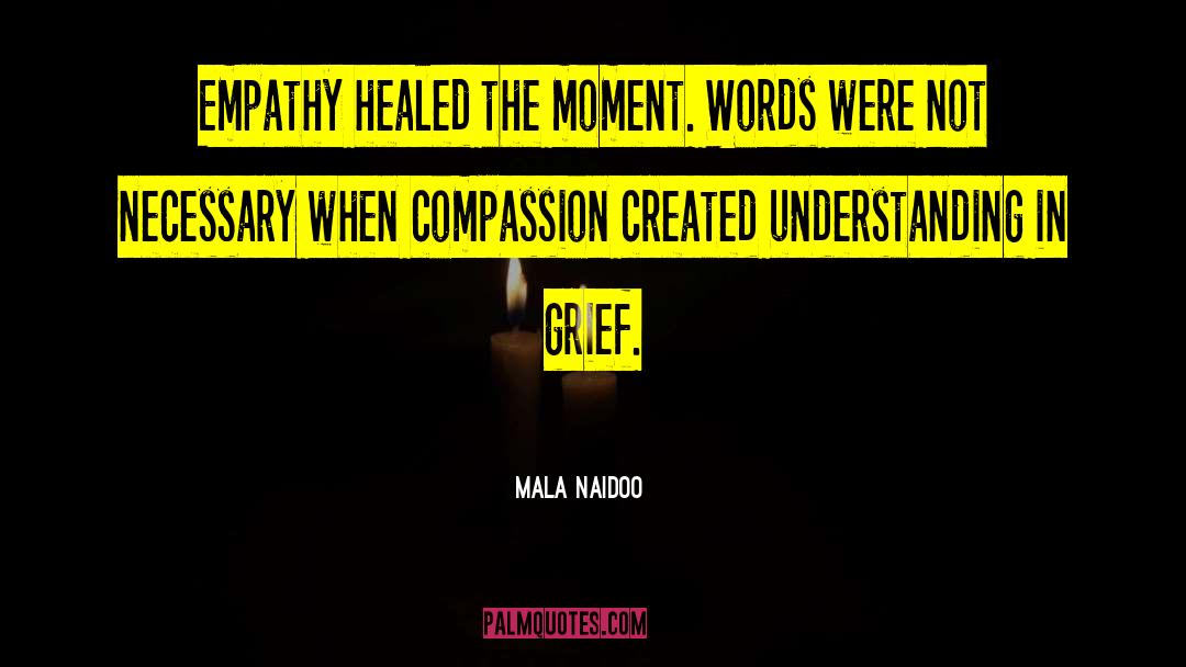 Mala Naidoo Quotes: Empathy healed the moment. Words