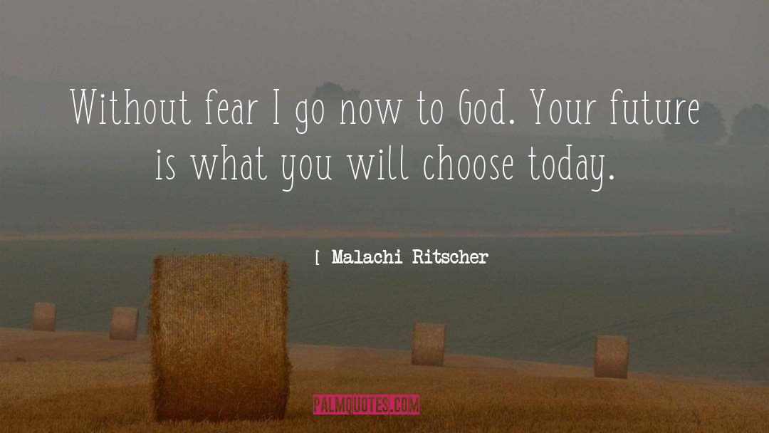 Malachi Ritscher Quotes: Without fear I go now