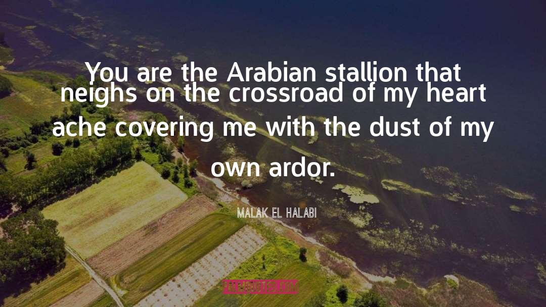 Malak El Halabi Quotes: You are the Arabian stallion