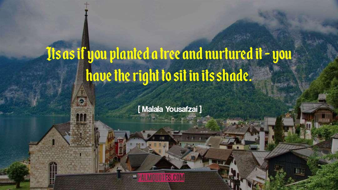 Malala Yousafzai Quotes: Its as if you planted