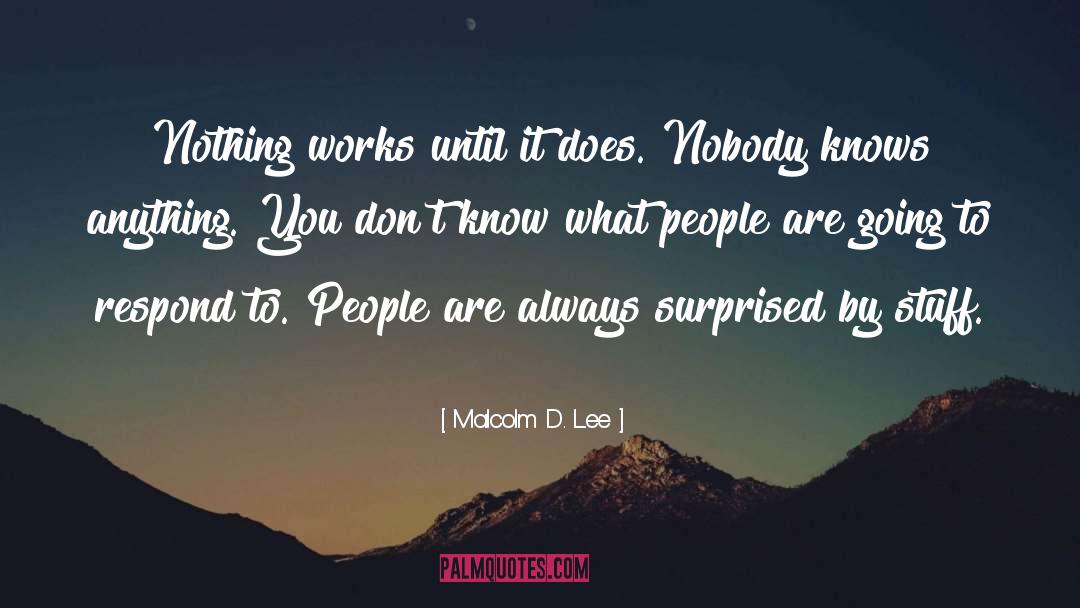 Malcolm D. Lee Quotes: Nothing works until it does.