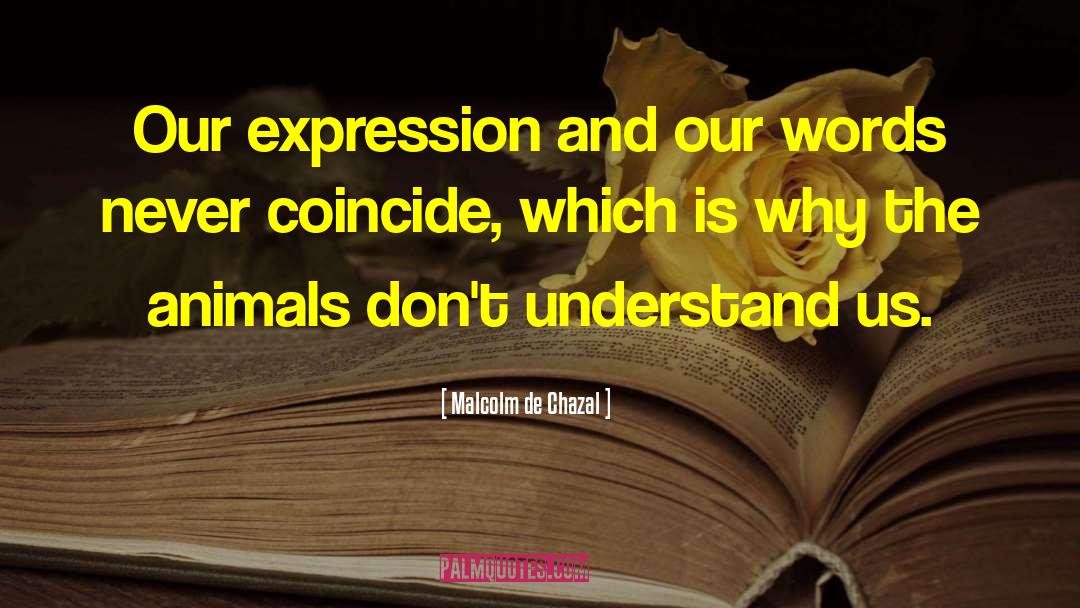 Malcolm De Chazal Quotes: Our expression and our words