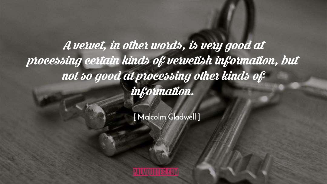 Malcolm Gladwell Quotes: A vervet, in other words,